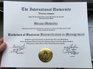 The International University degree 