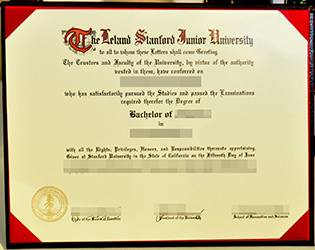 fake Stanford University degree