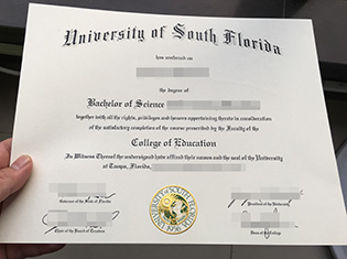 USF fake degree, University of south