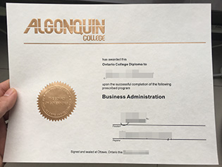 fake degree from Algonquin College, 