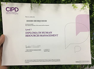 where can I buy CIPD level 7 diploma