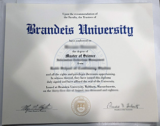 5 Tips to Master Brandeis University