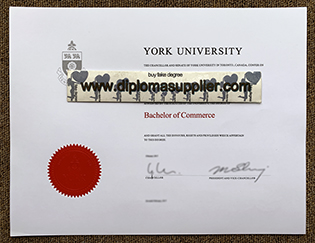 Best Place to Buy York University Fa
