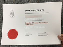 Where to Buy York University Fake Di