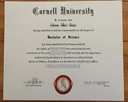 Where Can I Buy Fake Cornell Univers