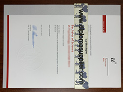 Fake Universität Bern Diploma For S