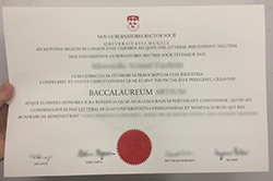 Fast Way To Order A Fake McGill Univ