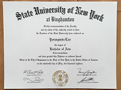 How to Obtain SUNY At Albany Fake Di