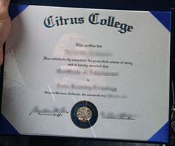 Where Can I Buy Citrus College Fake 