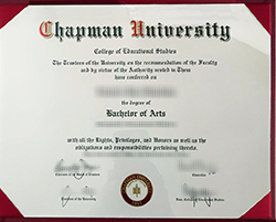 Fast to Buy Chapman University Fake 