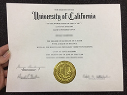 How Much For a UC Santa Barbara Fake