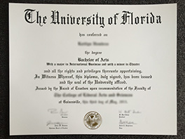 How Long to Get University of Florid