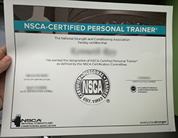 How Fast to Buy NSCA-certified perso