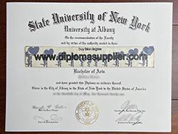 Where to Order SUNY Albany Fake Dipl