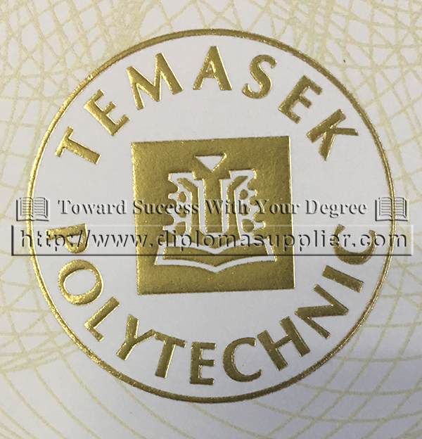 Temasek Polytechnic/Temasek Poly diploma with transcript