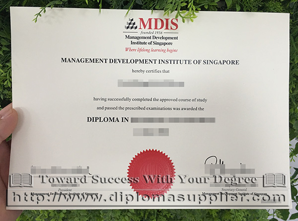 MDIS diploma in Business Management