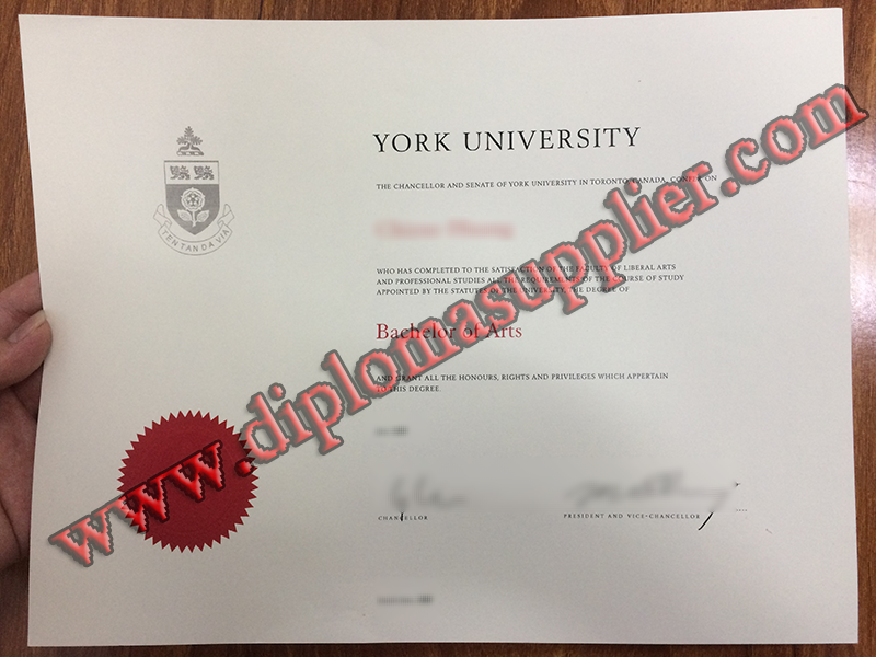 fake York University diploma, fake York University degree, buy fake certificate